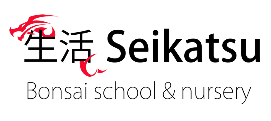 Christmas Delivery and Opening Hours