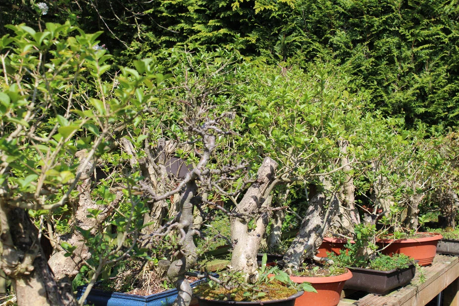 Top 10 tips for beginners