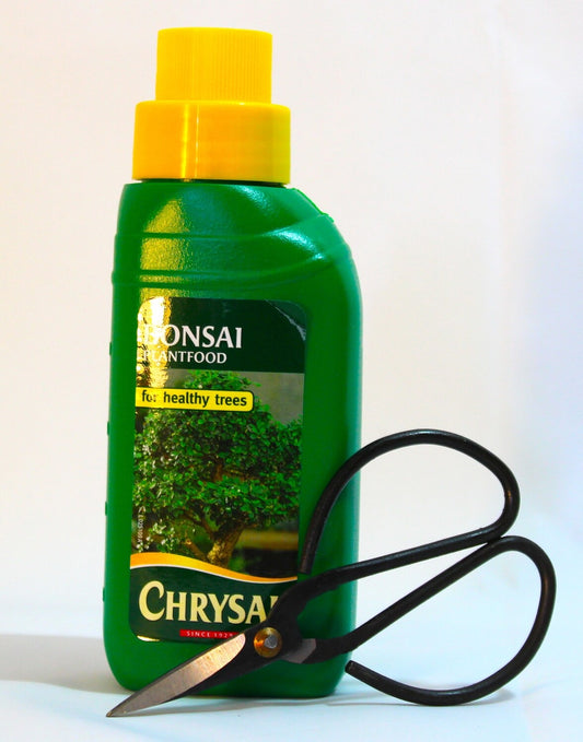Bonsai Care set - Bonsai liquid feed and scissors