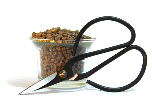 Bonsai Care set - Bonsai slow release feed and scissors