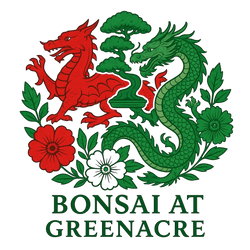 BonsaiatGreenacre